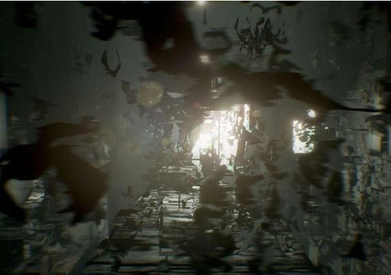 >observer_ EMEA Steam Digital Key