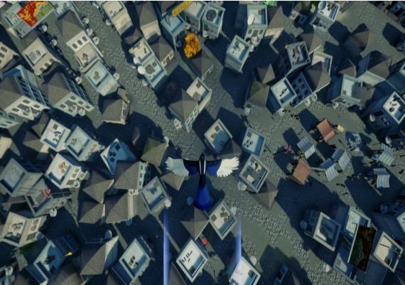 Copoka EN Global Steam Digital Key