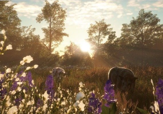 theHunter: Call of the Wild - Mississippi Acres Preserve DLC EN Mexico Xbox One/Series Digital Key