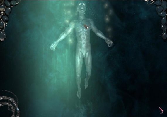 The Void EN Global Steam Digital Key