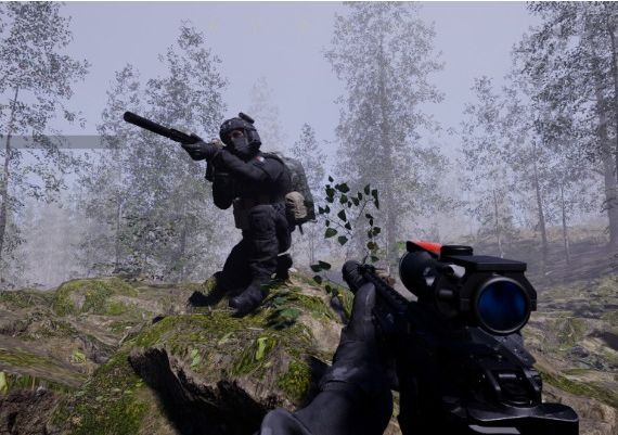 Direct Contact EN Global Steam Digital Key