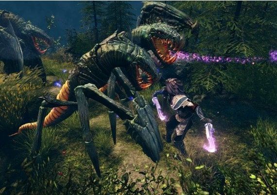 The Incredible Adventures of Van Helsing - Anthology EN EU Steam Digital Key