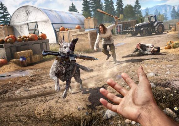 Far Cry 5 EN/DE/FR/IT/JA/PT/RU/ES Global Xbox One/Series Digital Key