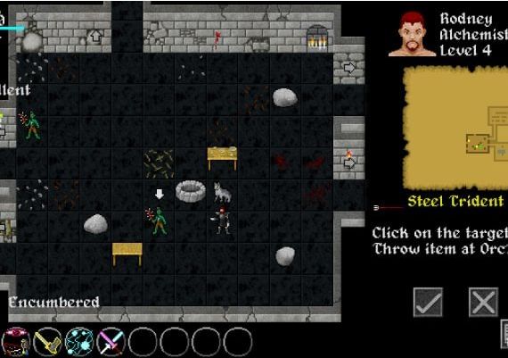 Ananias Roguelike EN Global Steam Digital Key