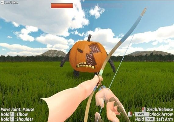 Probably Archery EN Global Steam Digital Key