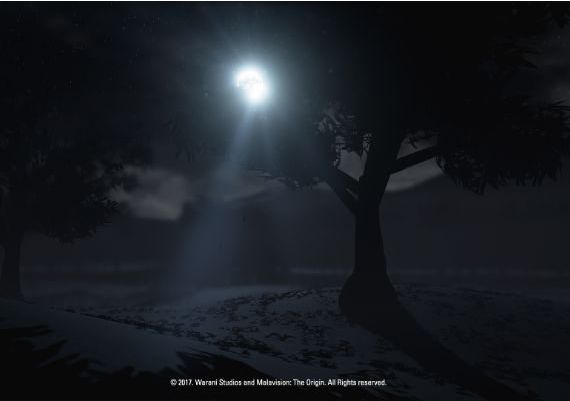 Malavision: The Origin Malavision: The Beginning EN/PT/ES Global Steam Digital Key