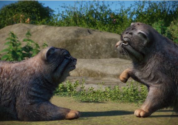 Planet Zoo - Zookeepers Animal Pack DLC Global Steam Digital Key