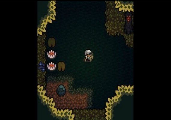 Anodyne EN Argentina Xbox One/Series Digital Key