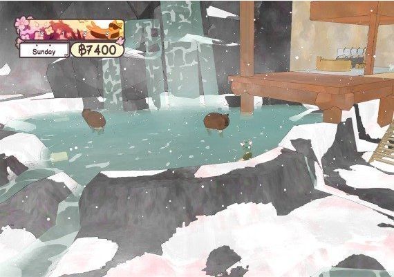 Calico EN/ZH Global Steam Digital Key