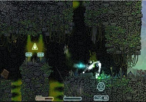 Capsized EN Global Steam Digital Key