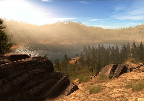 MetaTron EN Global Steam Digital Key