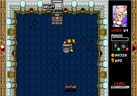 Wizorb EN/FR Global Steam Digital Key