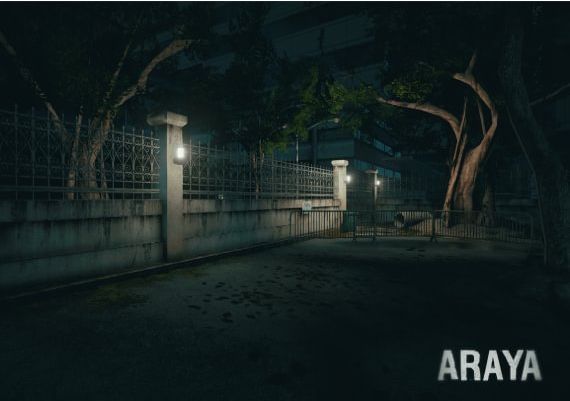 ARAYA EN/ZH Global Steam Digital Key