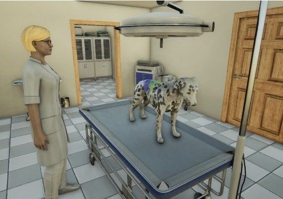 Animal Doctor EN EU Steam Digital Key