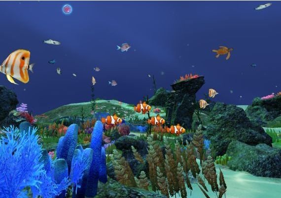 Fancy Fishing VR EN Global Steam Digital Key