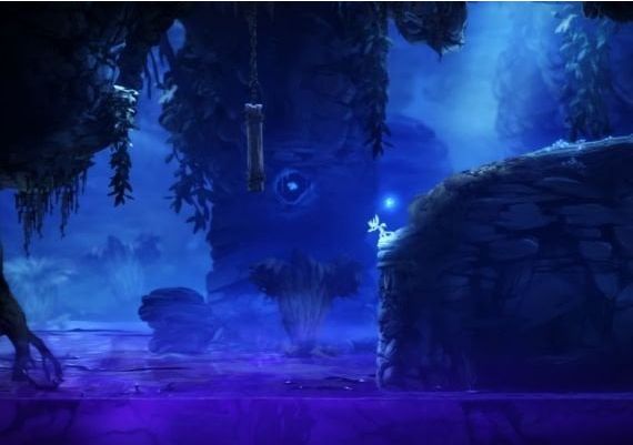 Ori and the Blind Forest Definitive Edition EN/DE/FR/IT/ES Global Steam Digital Key