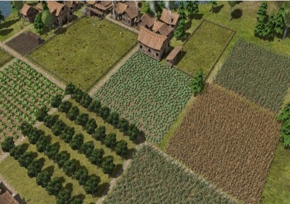 Banished EN EU Steam Digital Key