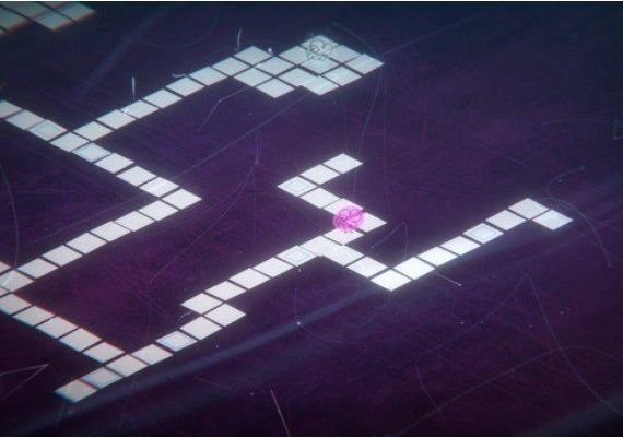 Strings Theory Global Steam Digital Key