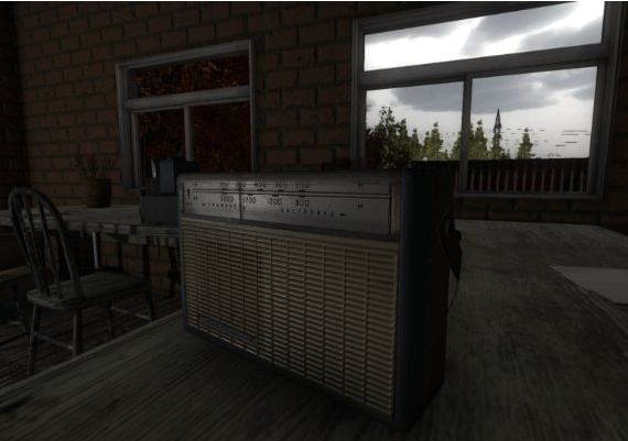 Noise EN/RU Global Steam Digital Key