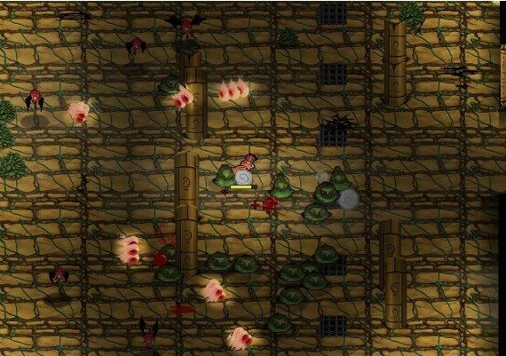 Eternal Step EN Global Steam Digital Key