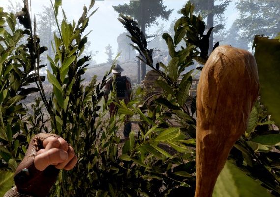 Bandit Brawler EN/PL Global Steam Digital Key