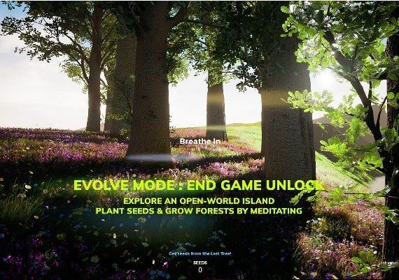 Playne: The Meditation Game EN/FR/IT/PL/PT/ES/HU Global Steam Digital Key