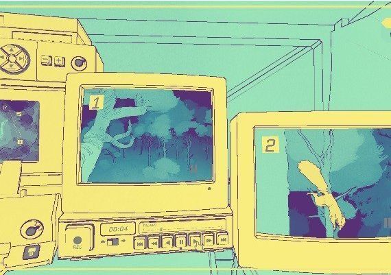 Nuts Global Steam Digital Key