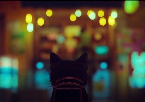 Stray EN Japan Xbox One/Series/Windows Digital Key