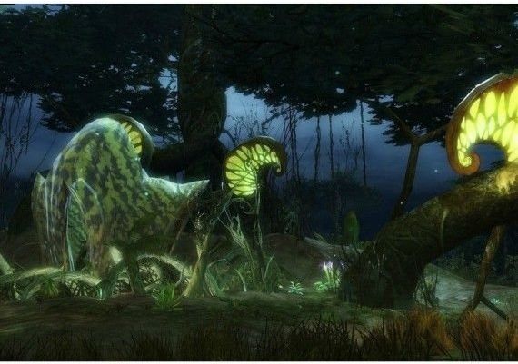 Guild Wars 2 Heroic Edition EN/DE/FR United States Official website Digital Key