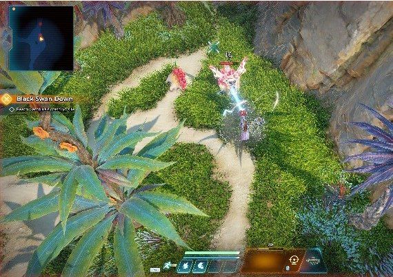 Cygnus Enterprises EN/ZH Global Steam Digital Key