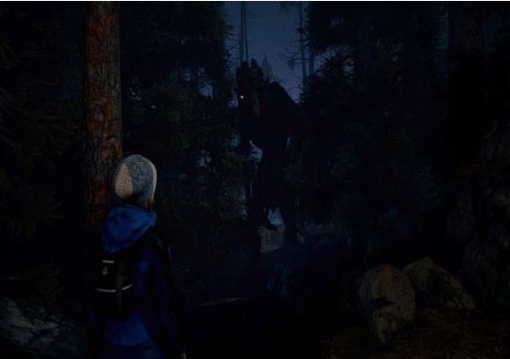 Through the Woods EN/DE/FR/IT/RU/ES Global Steam Digital Key