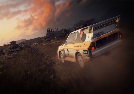 DiRT Rally 2.0 - Steam Account EN/DE/FR/IT/PL/JA/PT/ES Global Steam Digital Key