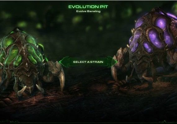 StarCraft 2: Heart of The Swarm DLC EN/DE/FR/IT EU Battle.net Digital Key