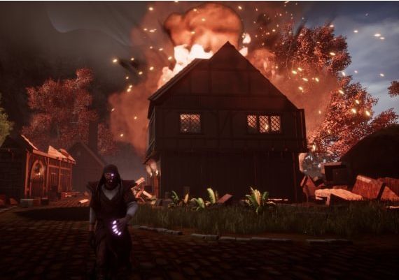 Fictorum EN Global Steam Digital Key