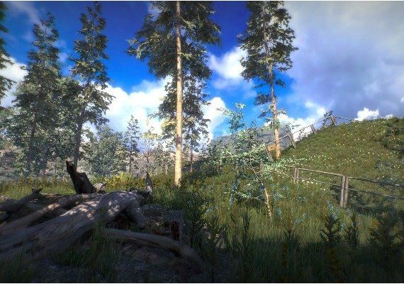 Position EN/RU/ZH Global Steam Digital Key