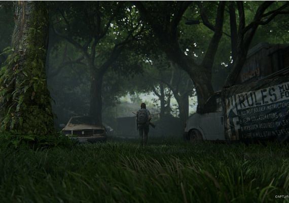 The Last of Us 2 EU Global PS4 Digital Key