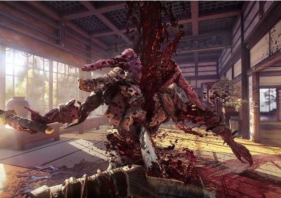 Shadow Warrior 2 - Alienware Co-Op Ninja Skin DLC EN Global Steam Digital Key