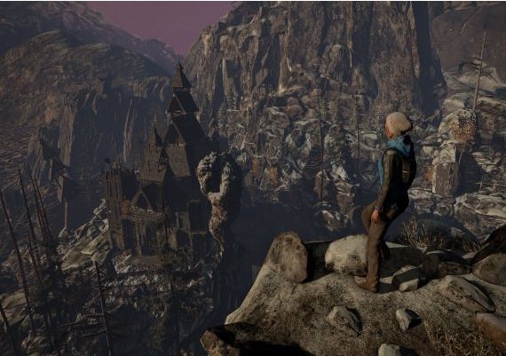 Through the Woods EN/DE/FR/IT/RU/ES Global Steam Digital Key