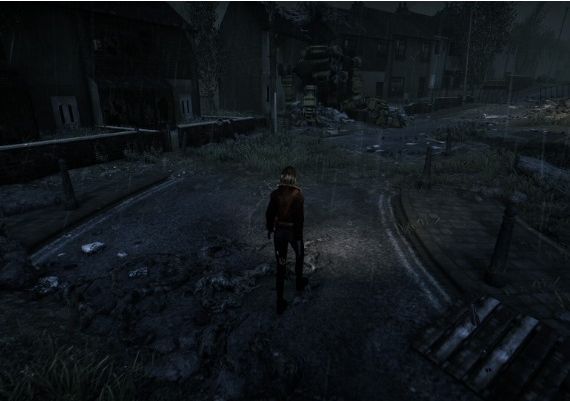 Hollowbody EN Global Steam Digital Key