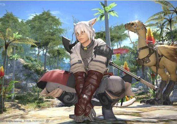 Final Fantasy XIV Starter Edition EN/DE/FR/JA United States Official website Digital Key