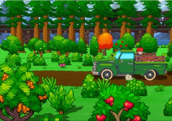 Cornucopia EN Global Steam Digital Key