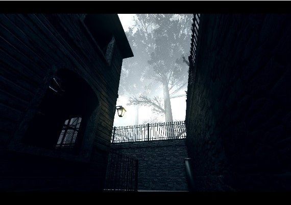 Wooden House EN Global Steam Digital Key