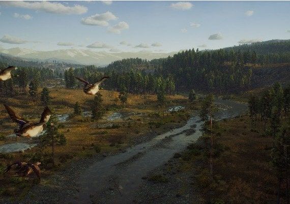 Way of the Hunter Global Steam Digital Key