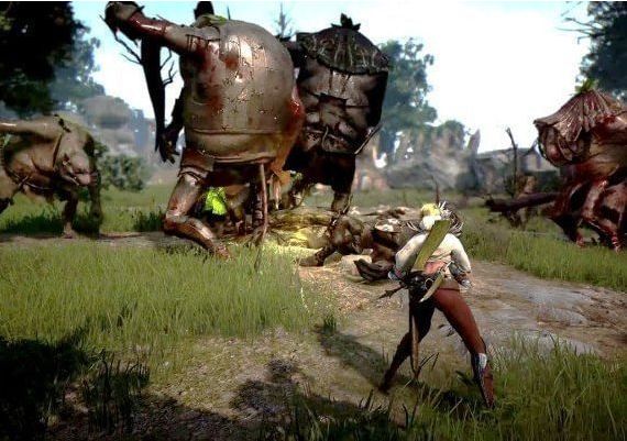 Black Desert EN Global Xbox One/Series Digital Key