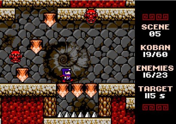 Ninja Senki DX EN/FR Global Steam Digital Key