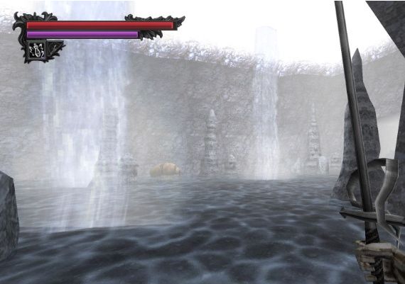 Lunacid EN Global Steam Digital Key