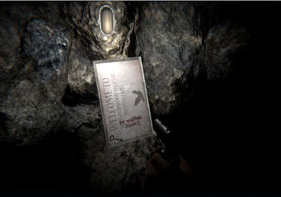 The One We Found EN Global Steam Digital Key