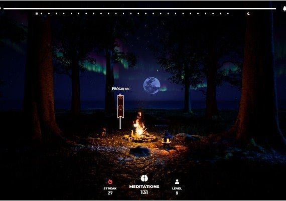 Playne: The Meditation Game EN/FR/IT/PL/PT/ES/HU Global Steam Digital Key