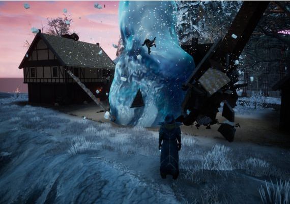 Fictorum EN Global Steam Digital Key