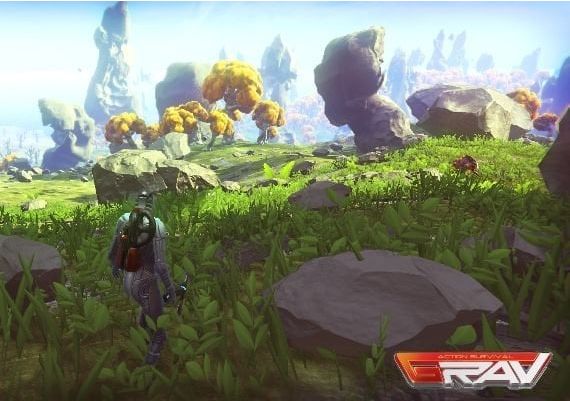 GRAV + Early Access Global Steam Digital Key